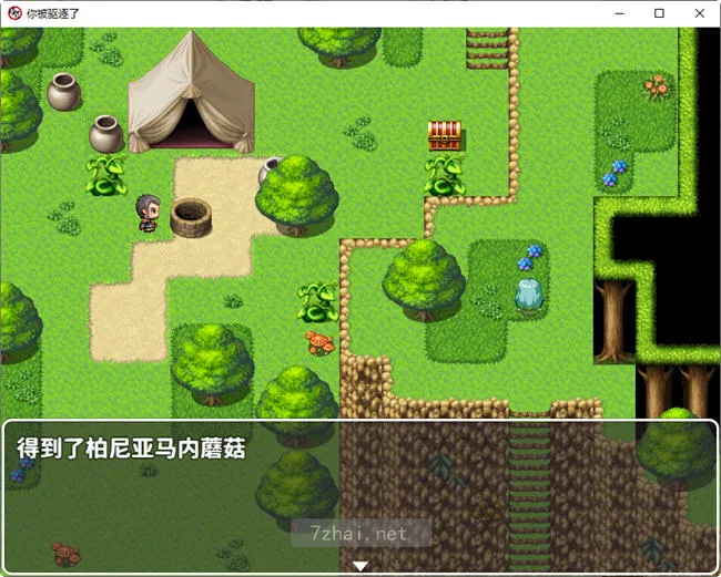 [RPG游戏]你被驱逐了官方中文作弊版PC+安卓1.2G 畅玩手机 第3张